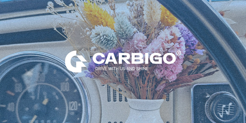 Im Auto Geruch entfernen - die besten Tipps I CARBIGO